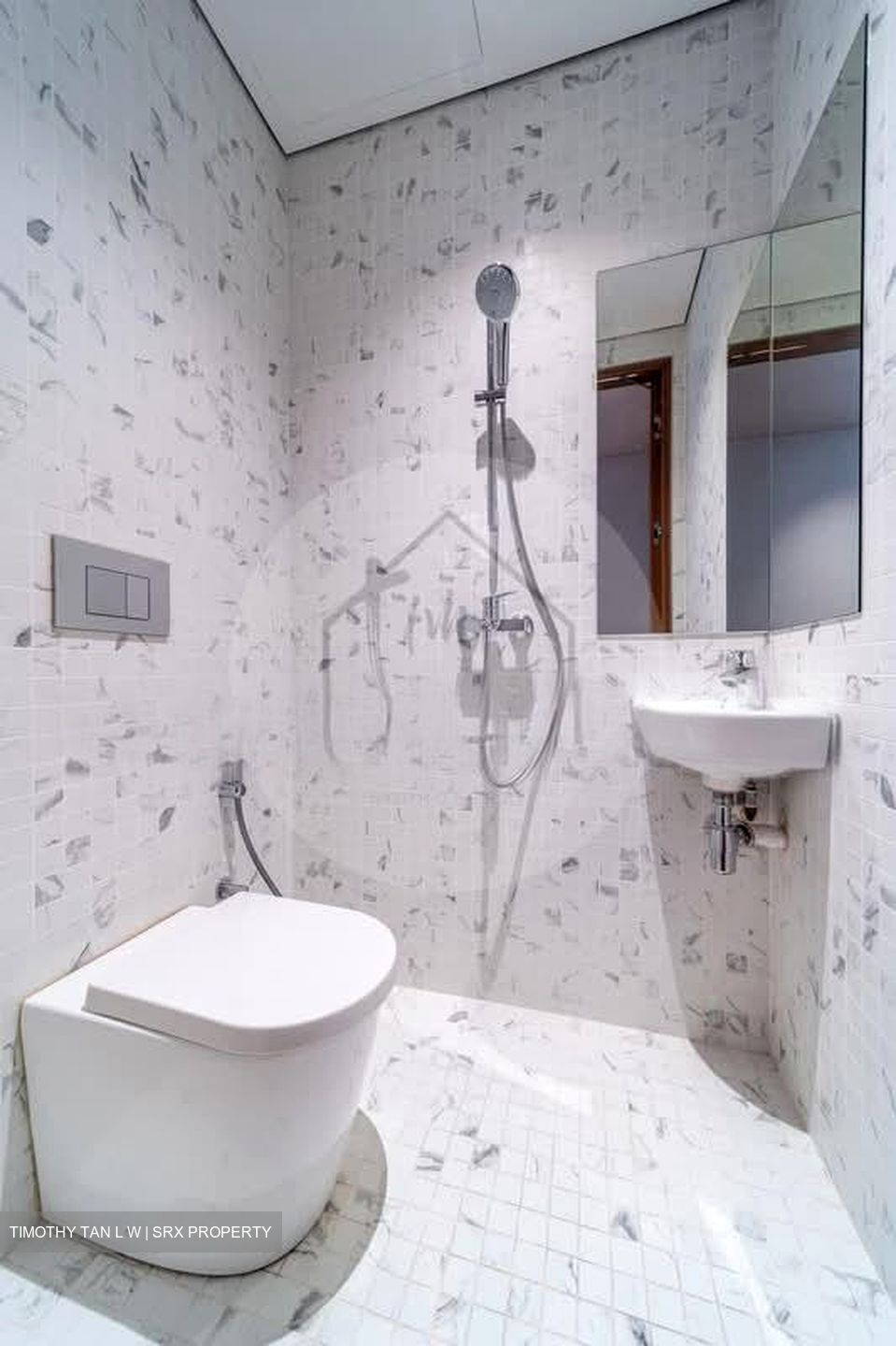 3 Orchard By-The-Park (D10), Condominium #543002001